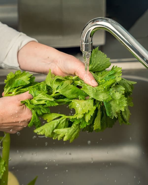 Lavaggio di verdure fresche in laboratorio